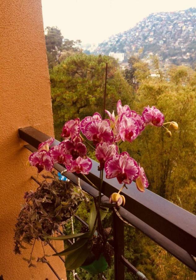 Courtyards Peak-Corner Pinestay - At Goshenland Baguio 바기오 외부 사진